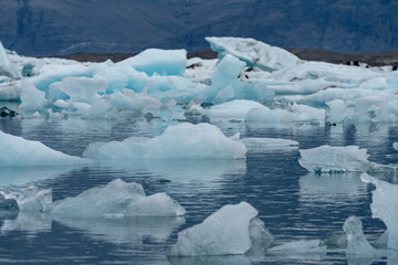 Wall Mural - Large glacier ice chunks in the jokulsarlon glacier lagoon in Iceland