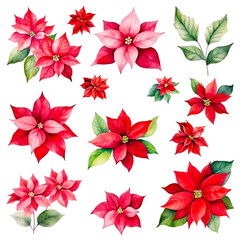 Wall Mural - Set of watercolor poinsettia, red flowers with green leaves isolated on white background. Cut out PNG illustration on transparent background.