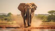 An African elephant walks swinging its trunk and spouting water under the hot sun