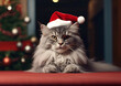 Grey maine coon kitten with santa hat on christmas tree room background.Macro.AI Generative