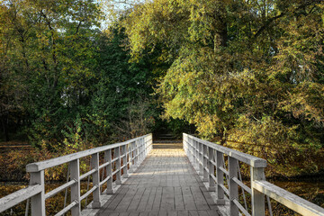 Wall Mural - View of beautiful autumn park with trees and bridge