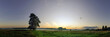 Panoramic view of foggy, grassy fields on late evening. Shyning gold sky and lonely tree oon flat huge field.  
