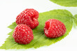 Three ripe raspberries lie on a green leaf. White background.