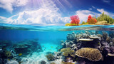 Fototapeta Do akwarium - A colorful underwater coral reef