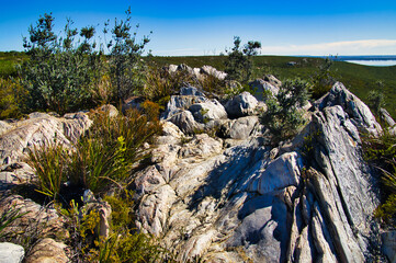 Wall Mural - Rocks and coastal vegetation on Mount Barren in Fitzgerald National Park, Hopetoun, Western Australia
