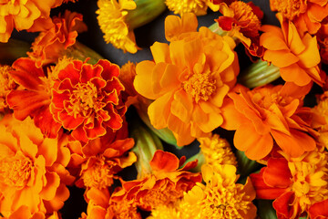 Texture of marigold flowers as background. Divaly celebration