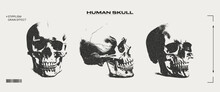 Human Skull With Grain Effect. Trendy Retro Aesthetics Of The 90s-2000s. Elements For The Design Of Posters, Banners, Cards.