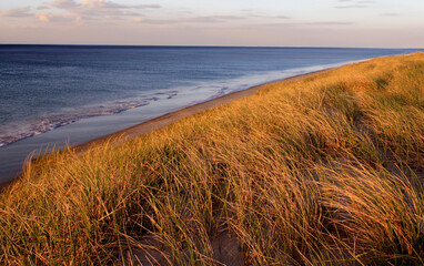 Wall Mural - Cape Cod National Seashore at Golden Hour with Beach Grass and Ocean