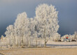 Idyllic winter scene from the countryside in Norway
