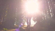 LENS FLARE, LOW ANGLE VIEW: Young Lady On A Hike With Her Dog Through Forest. She Went On A Pleasant Walk Towards The Alpine Peak With Her Cute Furry Friend On A Beautiful And Warm Sunny Autumn Day.