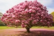 Majestic Bloomy magnolia tree. Generate Ai