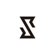 Letter S R elegant geometric symbol simple logo vector