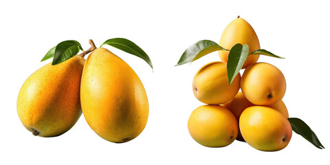 Poster - Png Set Entire mangoes against transparent background