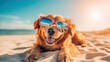 © Brandon - dog summer vacation, funny pet with sunglasses sunbathing on a tropical beach, relaxed holiday spirit generative AI