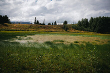 View Of Grassy And Marshy Meadow In Coloardo Forest Near Gunnison With Burnt Yellow Grass And Hillsides