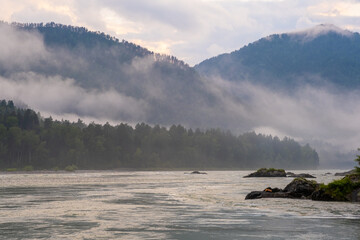 Wall Mural - A wide, full-flowing mountain river with a fast current. Large stones stick out of the water. The large turquoise-colored mountain river Katun in the Altai Mountains, Altai Republic.