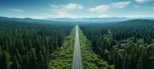 Forest road. Generative AI technology.