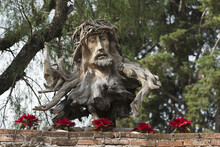 Face Of Jesus Christ And Crown Of Thorns Carved Into A Tree Stump With Red Flowers Along A Wall; Guanajuato, Mexico