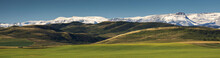 Green Pastures With Foothills And Snow Covered Mountains And Blue Sky In The Background; Alberta, Canada