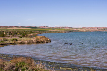 Wall Mural - Beautiful Snake River landscape in Idaho in summer