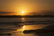 A Golden Sun Sets Over Silhouetted Trees And Reflects On The Wet Beach Along The Coast; Caloundra, Queensland, Australia