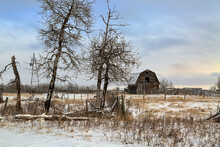 Old Barn On An Abandoned Farm; Alberta, Canada