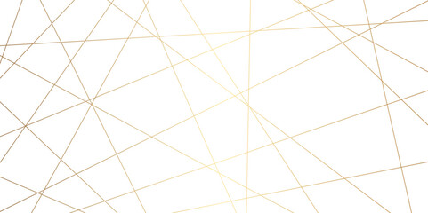 Wall Mural - Abstract golden geometric random chaotic lines for t-shirt, wall design background. Luxury premium lines background.