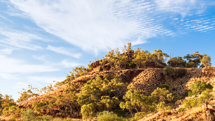 A rehabilitated hill and tailings at an old uranium mine in Queensland, Australia.