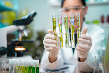 asian woman scientist plant science laboratory research, biological chemistry test, green nature org