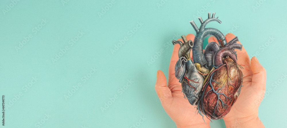 Heart attack, Myocarditis disease, inflammation of the muscle ...