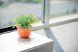 Colorful decoration artificial plant in clay pottery on wooden table with blured blackground. Indoor plant in orange pot in living room with windows mirror, blackground or copy space.