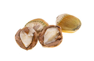 Sticker - hazelnut isolated