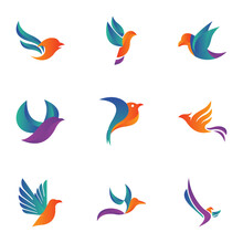 Bird Gradient Color Logo Design