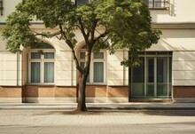 Trees And Windows In An Old Building, In The Style Of Vienna Secession