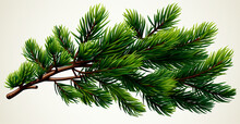 Top View Of Green Fir Branch, Fir Tree With Needles Isolated On White Background - AI Generated Image