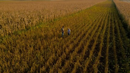 Wall Mural - Aerial view of two farmers in soy field making agreement with handshake before harvest at sunset.