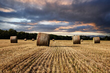 Agriculture, Stormy Sky Over Wheat Field With Straw Bales