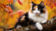 Calico cat perched on a branch, its multicolored fur blending with autumn foliage