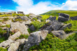 © Pellinni - scenery with alpine hills and meadow of ukrainian carpathians. mountainous landscape with huge stones on the hill. sunny weather in summertime