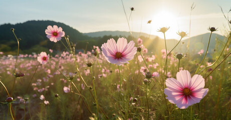 blooming field pink nature fresh violet flower meadow sunset beautiful background. Generative AI.