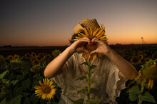 Unrecognizable Woman Hiding Behind Sunflower And Showing Heart Sign