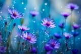Fototapeta Kwiaty - rain on purple flower