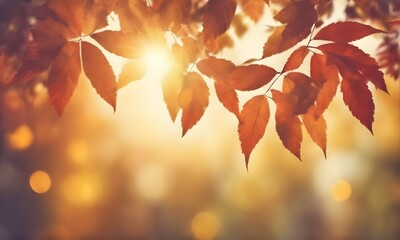 Aufkleber - Abstract autumn foliage bokeh backdrop
