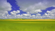 Beautiful Tranquil Nature Background.Amazing Rural Scene.Art Design.Creative Photography.Conceptual Photo.Fantasy Art.Artistic Wallpaper.Yellow Color.Green Field and Wheat.Blue Sky and Clouds.Vibrant.