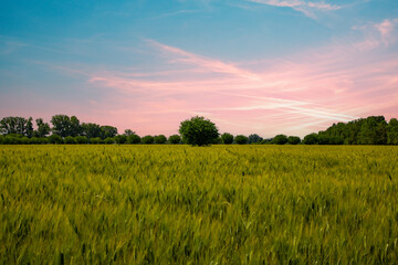 Rural landscape of cultivated fields and clouds