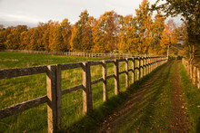 Tire Tracks Along A Fence In A Rural Area In Autumn; Scottish Borders, Scotland