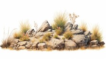 Watercolor Savanna Dry Grass Meadow Shrubs With Rocks On White Background