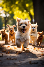 A Joyful Scene Of Puppies Frolicking With Their Parent Dogs Spreading Laughter And Happiness In The Park 