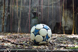 Fototapeta Sport - the single ball is in a field full of hanging roots.