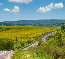 Canvas Print - Road through spring rapeseed yellow blooming fields view. Natural seasonal, good weather, climate, eco, farming, countryside beauty concept.